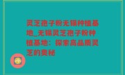 灵芝孢子粉无锡种植基地_无锡灵芝孢子粉种植基地：探索高品质灵芝的奥秘