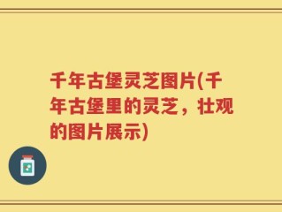 千年古堡灵芝图片(千年古堡里的灵芝，壮观的图片展示)