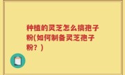 种植的灵芝怎么搞孢子粉(如何制备灵芝孢子粉？)