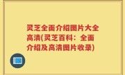 灵芝全面介绍图片大全高清(灵芝百科：全面介绍及高清图片收录)