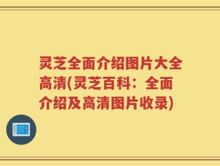 灵芝全面介绍图片大全高清(灵芝百科：全面介绍及高清图片收录)
