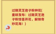 过期灵芝孢子粉种花(重磅发布：过期灵芝孢子粉惊喜开花，解锁奇妙花海！)