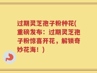 过期灵芝孢子粉种花(重磅发布：过期灵芝孢子粉惊喜开花，解锁奇妙花海！)