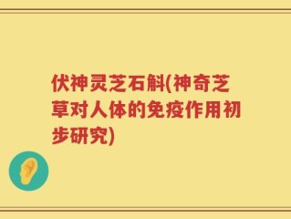 伏神灵芝石斛(神奇芝草对人体的免疫作用初步研究)