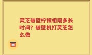 灵芝破壁柠檬相隔多长时间？破壁机打灵芝怎么做