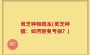 灵芝种植赔本(灵芝种植：如何避免亏损？)