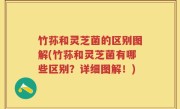 竹荪和灵芝菌的区别图解(竹荪和灵芝菌有哪些区别？详细图解！)