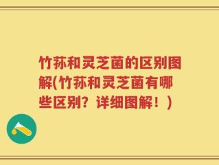 竹荪和灵芝菌的区别图解(竹荪和灵芝菌有哪些区别？详细图解！)