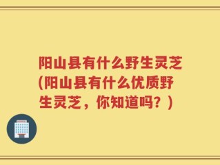 阳山县有什么野生灵芝(阳山县有什么优质野生灵芝，你知道吗？)