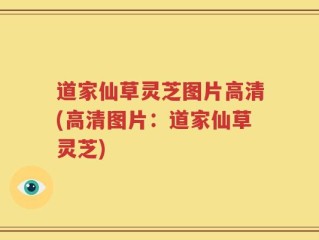 道家仙草灵芝图片高清(高清图片：道家仙草灵芝)