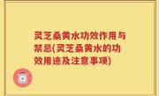 灵芝桑黄水功效作用与禁忌(灵芝桑黄水的功效用途及注意事项)
