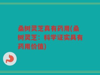 桑树灵芝真有药用(桑树灵芝：科学证实具有药用价值)