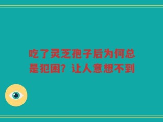 吃了灵芝孢子后为何总是犯困？让人意想不到
