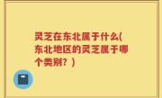 灵芝在东北属于什么(东北地区的灵芝属于哪个类别？)