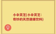 小伞灵芝(小伞灵芝：奇妙的天然健康饮料)