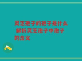 灵芝孢子的孢子是什么 解析灵芝孢子中孢子的含义