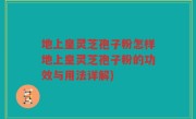 地上皇灵芝孢子粉怎样地上皇灵芝孢子粉的功效与用法详解)