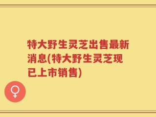 特大野生灵芝出售最新消息(特大野生灵芝现已上市销售)