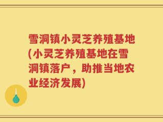 雪洞镇小灵芝养殖基地(小灵芝养殖基地在雪洞镇落户，助推当地农业经济发展)