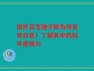 国外灵芝孢子粉为何呈现白色？了解其中的科学原理与