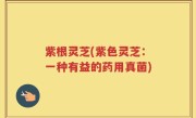 紫根灵芝(紫色灵芝：一种有益的药用真菌)
