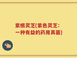 紫根灵芝(紫色灵芝：一种有益的药用真菌)