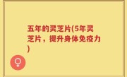 五年的灵芝片(5年灵芝片，提升身体免疫力)