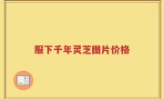 服下千年灵芝图片价格