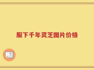 服下千年灵芝图片价格