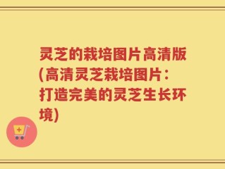 灵芝的栽培图片高清版(高清灵芝栽培图片：打造完美的灵芝生长环境)