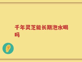 千年灵芝能长期泡水喝吗