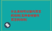 什么食材可以替代灵芝的功效(五种食材替代灵芝的功效)