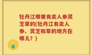 牡丹江哪里有卖人参灵芝草的(牡丹江有卖人参、灵芝和草的地方在哪儿？)
