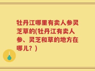 牡丹江哪里有卖人参灵芝草的(牡丹江有卖人参、灵芝和草的地方在哪儿？)