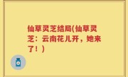 仙草灵芝结局(仙草灵芝：云南花儿开，她来了！)