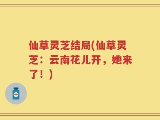 仙草灵芝结局(仙草灵芝：云南花儿开，她来了！)