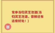 党参当归灵芝泡酒(当归灵芝泡酒，尝鲜还有这些好处！)