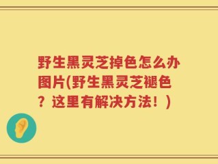 野生黑灵芝掉色怎么办图片(野生黑灵芝褪色？这里有解决方法！)