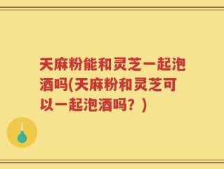 天麻粉能和灵芝一起泡酒吗(天麻粉和灵芝可以一起泡酒吗？)