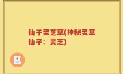仙子灵芝草(神秘灵草仙子：灵芝)