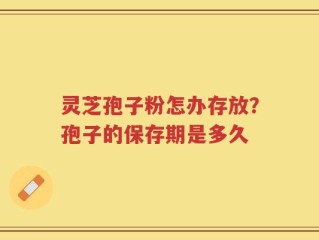 灵芝孢子粉怎办存放？孢子的保存期是多久