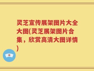 灵芝宣传展架图片大全大图(灵芝展架图片合集，欣赏高清大图详情)