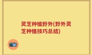 灵芝种植野外(野外灵芝种植技巧总结)