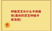 种植灵芝办什么手续最快(最快的灵芝种植手续流程)