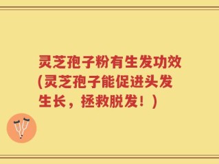 灵芝孢子粉有生发功效(灵芝孢子能促进头发生长，拯救脱发！)