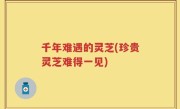 千年难遇的灵芝(珍贵灵芝难得一见)