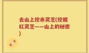 去山上挖赤灵芝(挖掘红灵芝——山上的秘密)