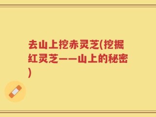 去山上挖赤灵芝(挖掘红灵芝——山上的秘密)