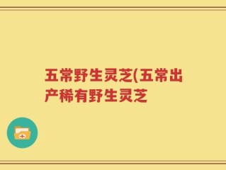 五常野生灵芝(五常出产稀有野生灵芝