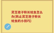灵芝孢子粉长蛀虫怎么办(防止灵芝孢子粉长蛀虫的小技巧)